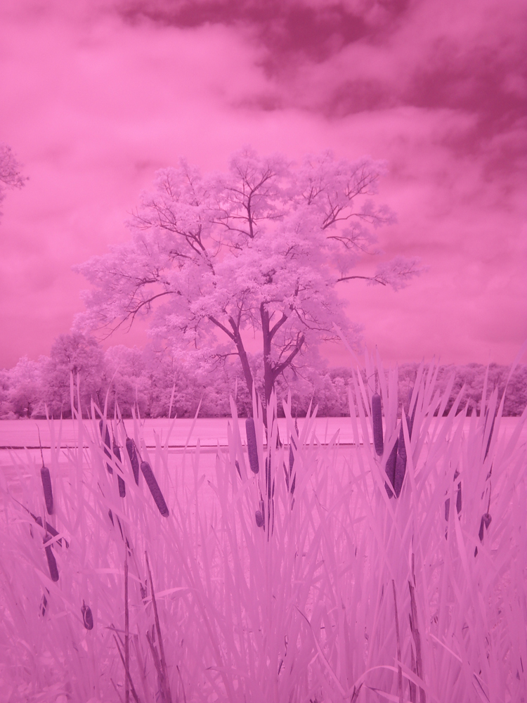 Kolari Vision Infrared photography digital fale color photoshop tutorial