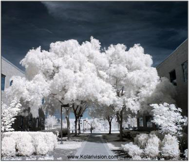 Kolari Vision Infrared photography digital fale color photoshop tutorial