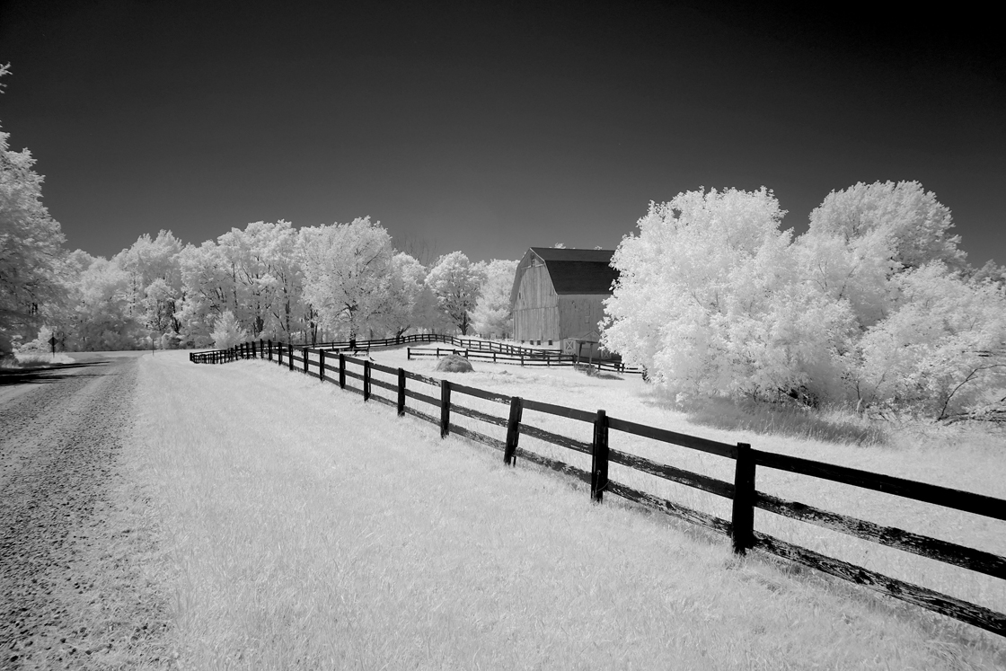 Barn & Fence copy 22d83777 bf48 4598 a6b9 55df358693d1