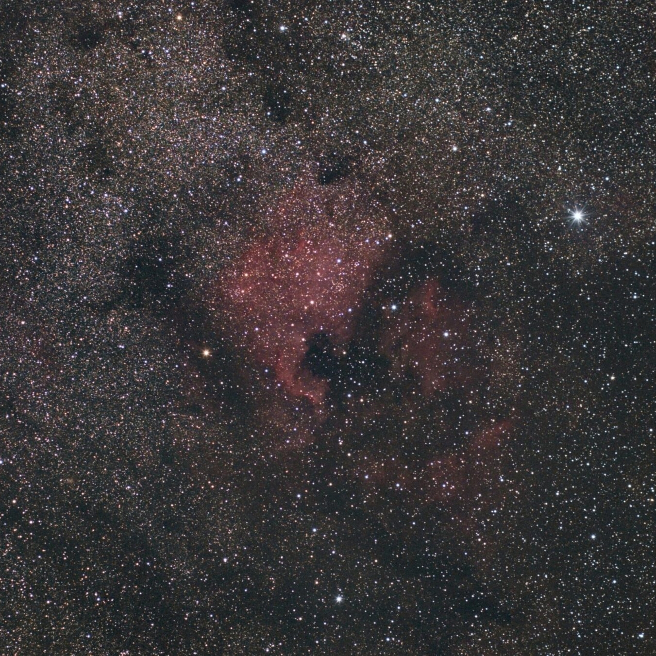 Image name: First Light - NGC7000 (The North America Nebula) Wide Field, Author name: Ron Brecher
