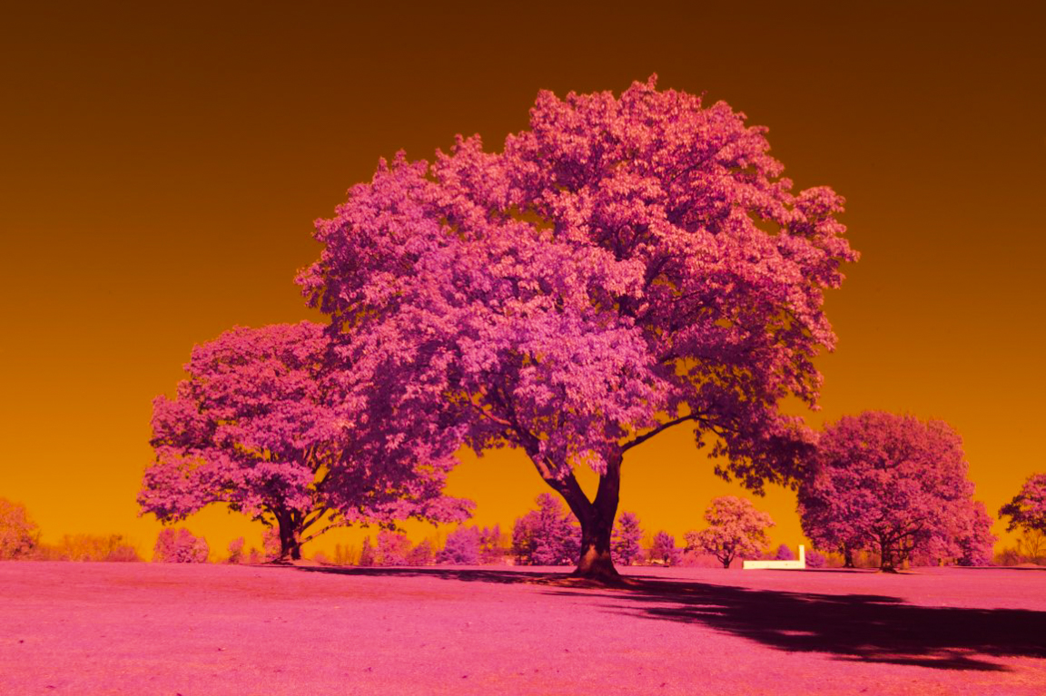 infrared filter 5