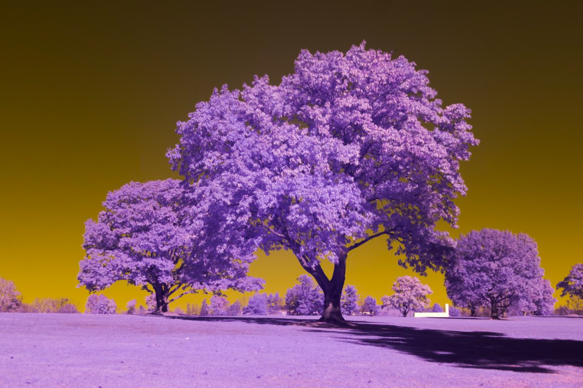 infrared filter 2