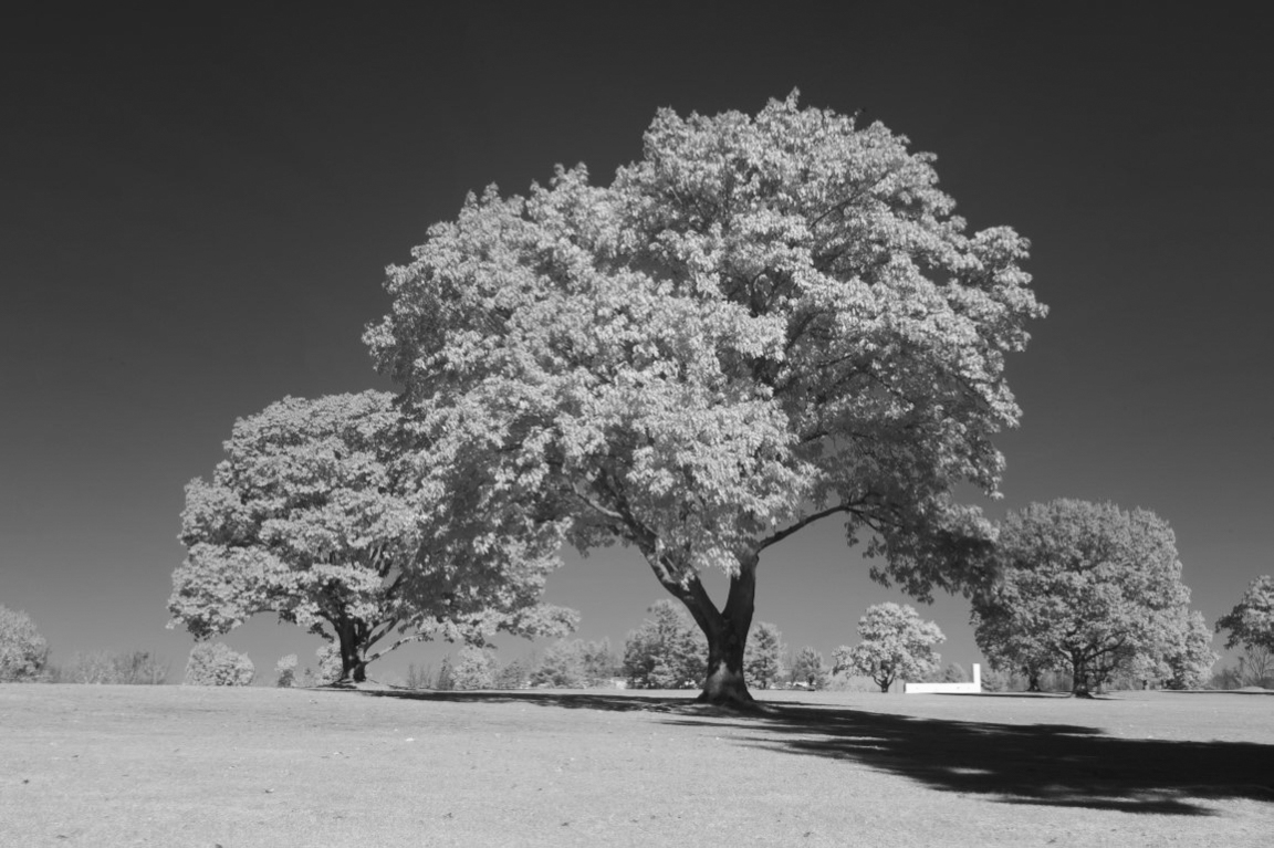 infrared filter 4