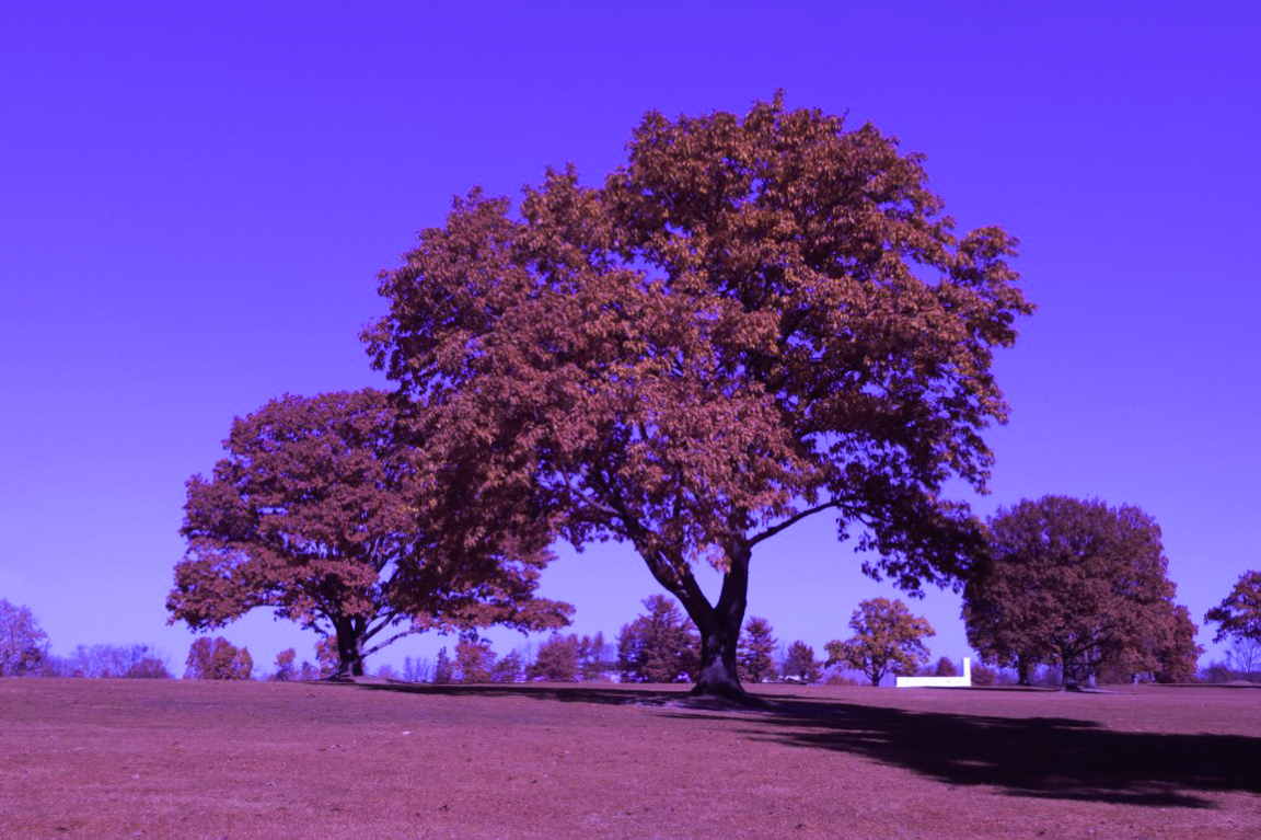 IR Chrome Auto (Medium)