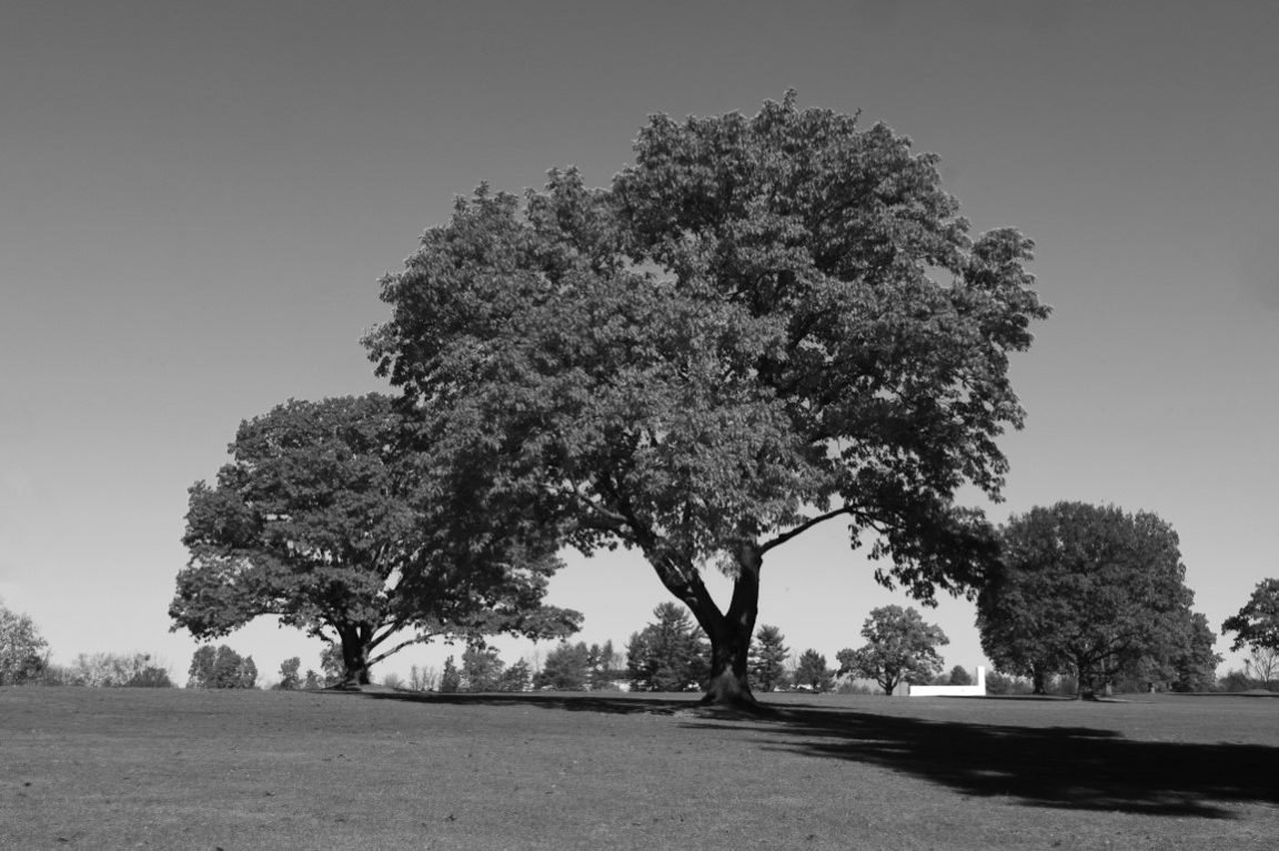 IR Chrome B&W (Medium)