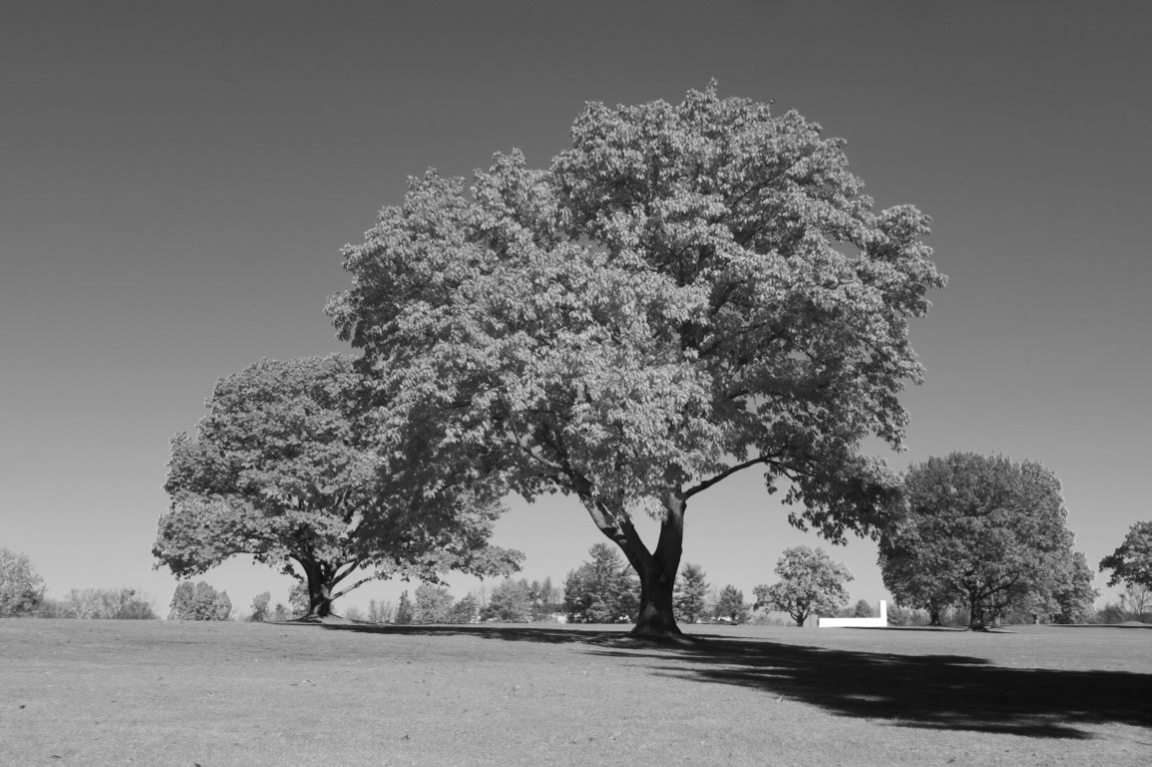 Iridium B&W (Medium)
