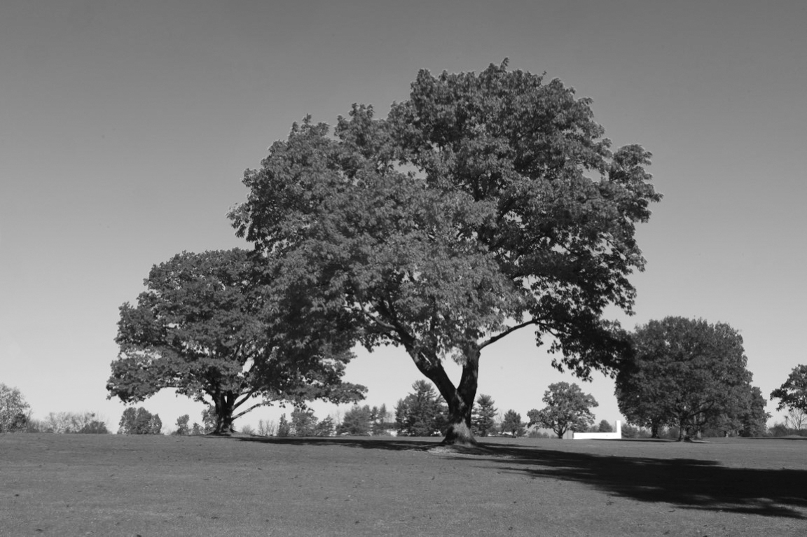 Lite B&W (Medium)
