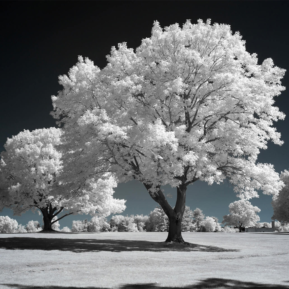 720nm-infrared-clipin
