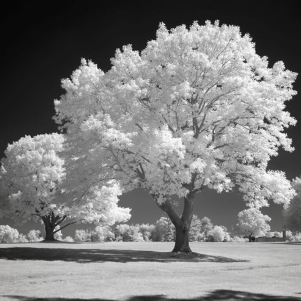 850nm-infrared-clipin