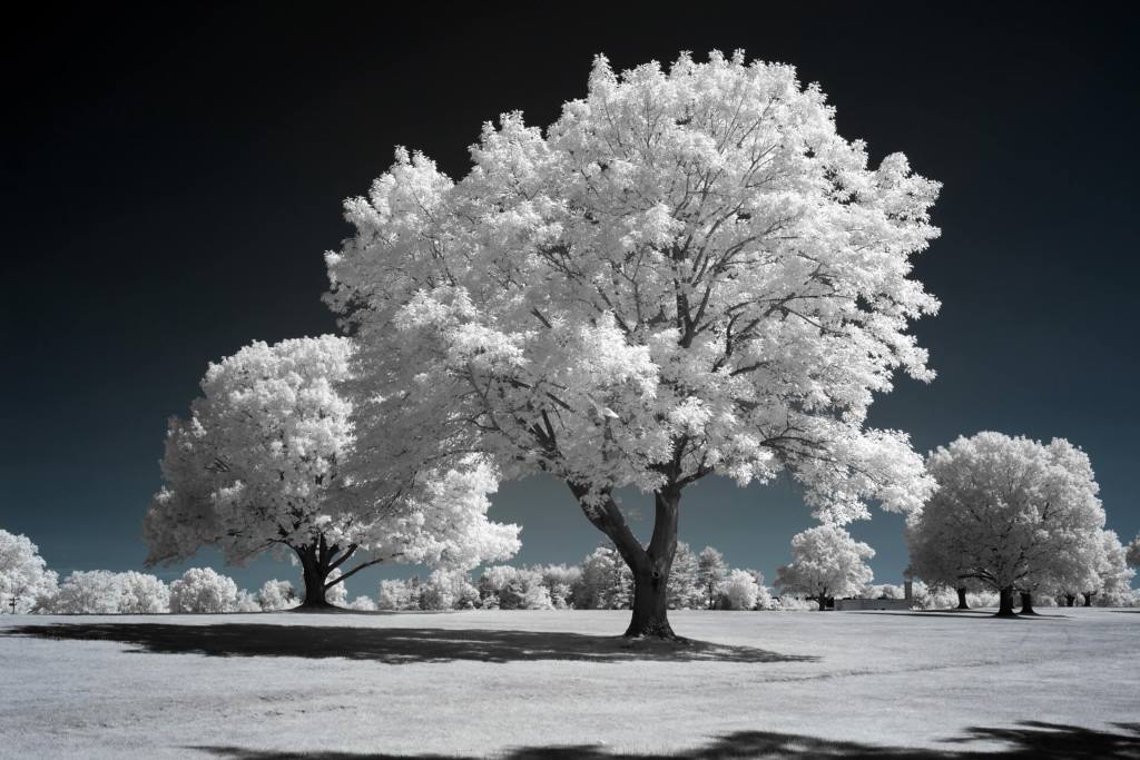 720 Infrared Conversion Filter (Channel Swapped)