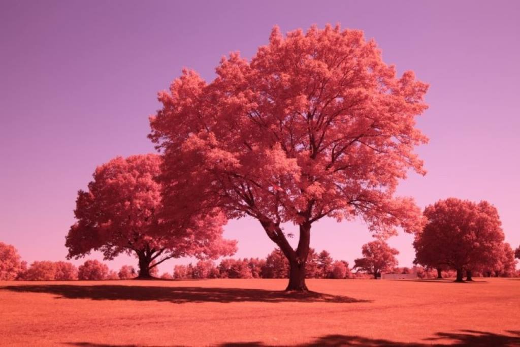 Full Spectrum Conversion Filter (custom white balance)