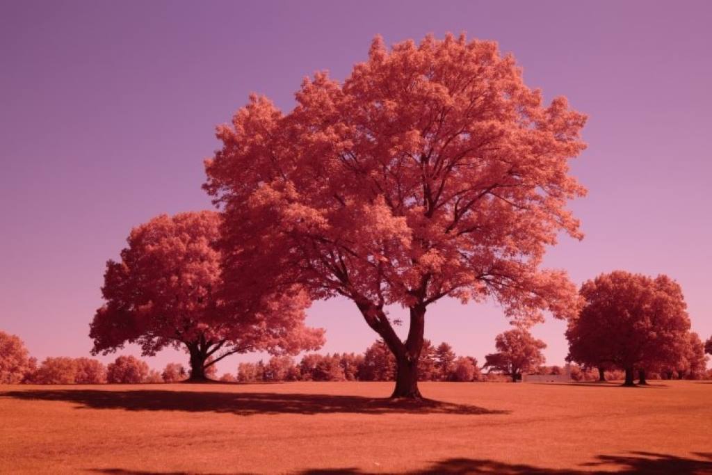 Full Spectrum Conversion Filter (Auto White Balance)