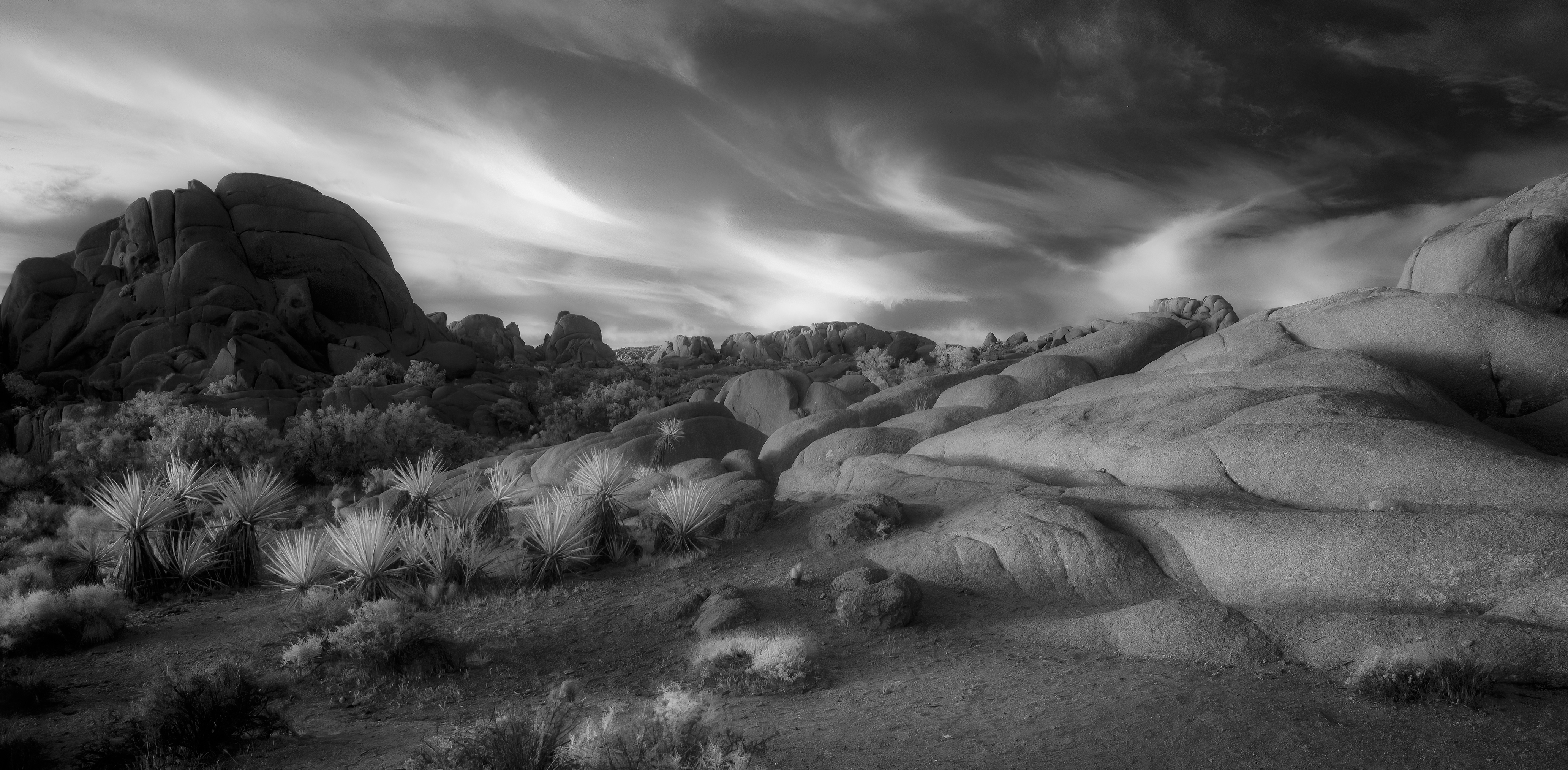 85C_3748-proc-JTNP 2023