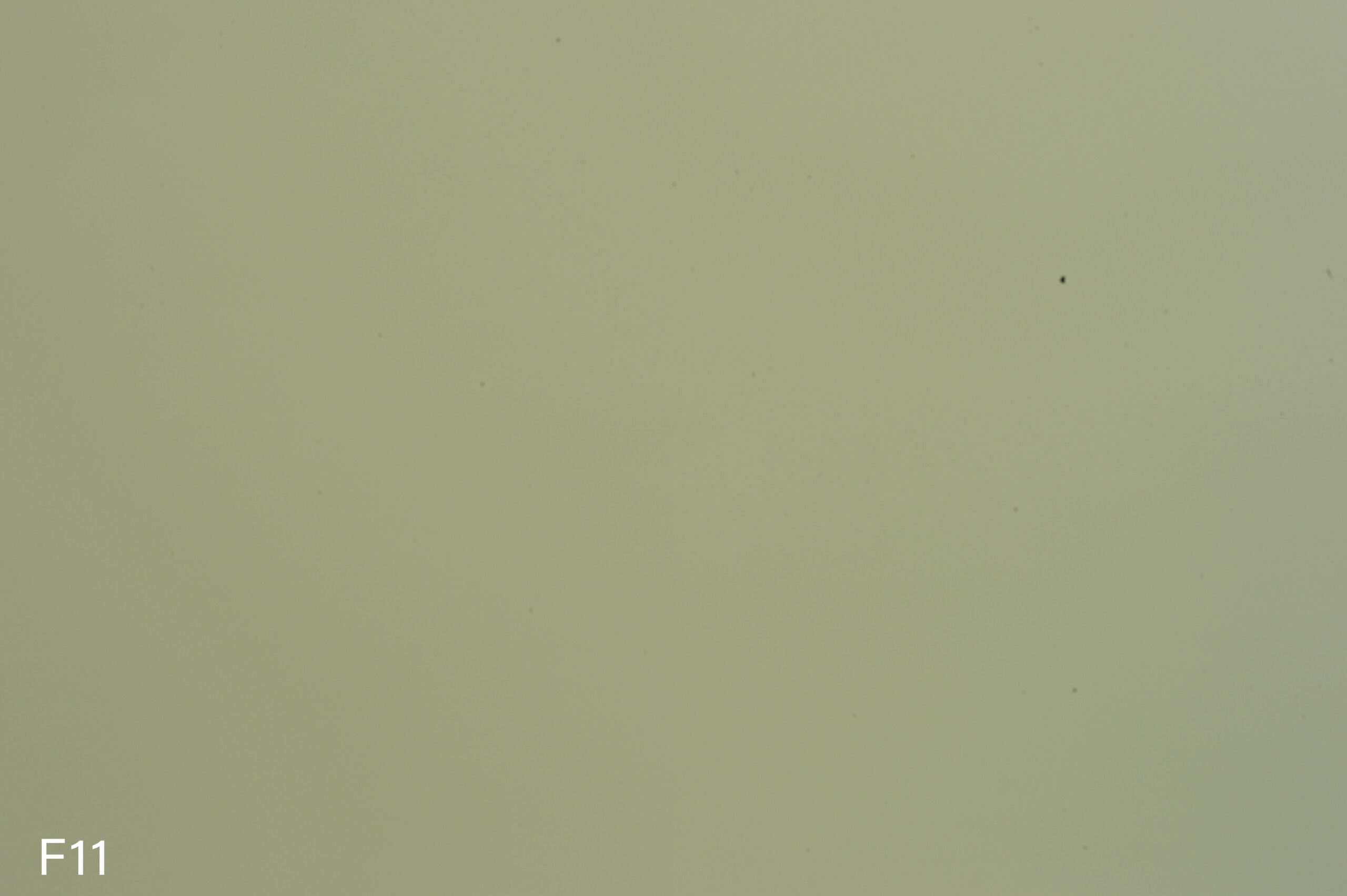 dustref11