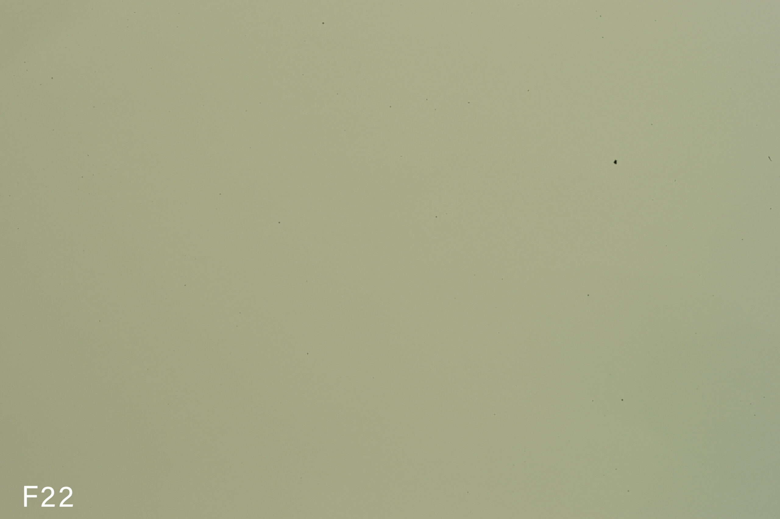dustref22