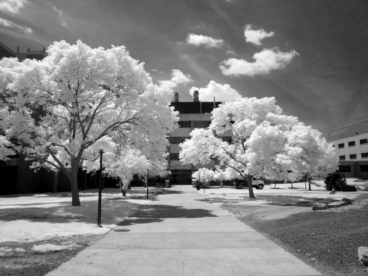 P1030029bw Large